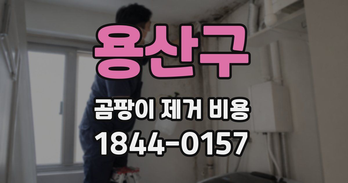 용산구 곰팡이 제거 비용