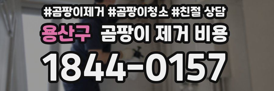 용산구 곰팡이 제거 비용