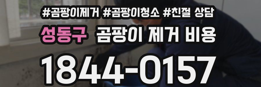 성동구 곰팡이 제거 비용