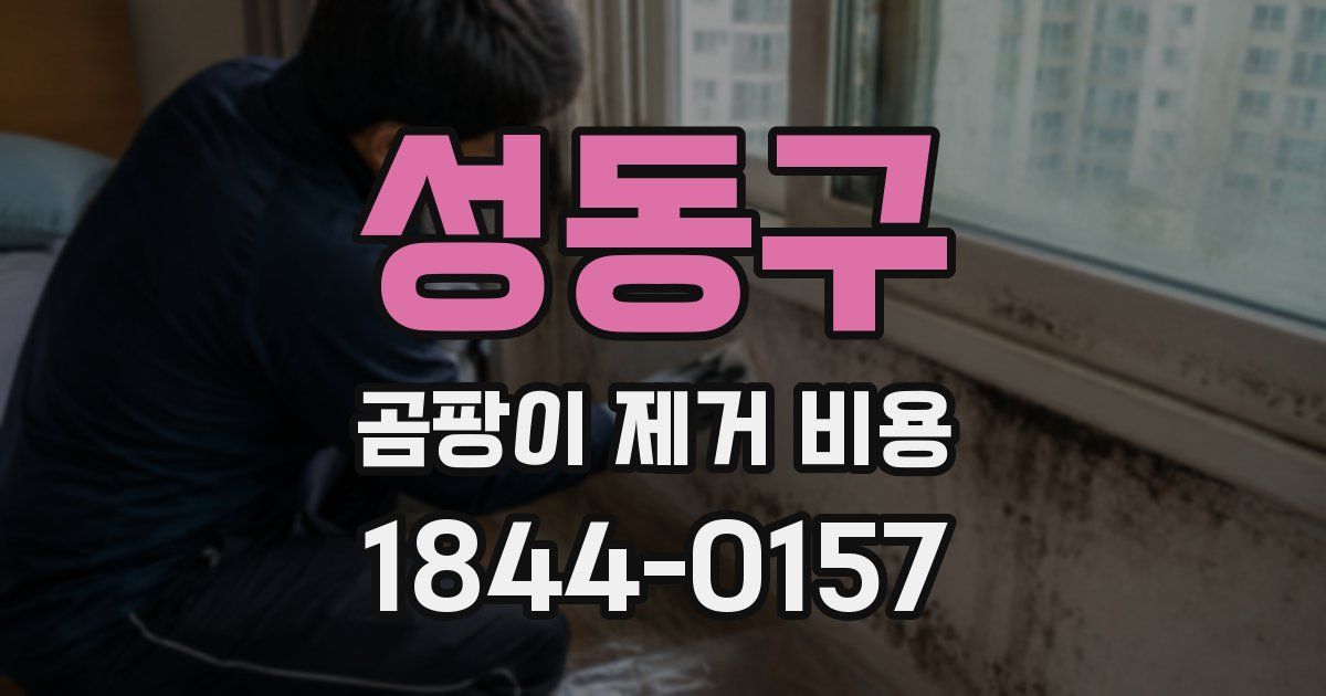 성동구 곰팡이 제거 비용