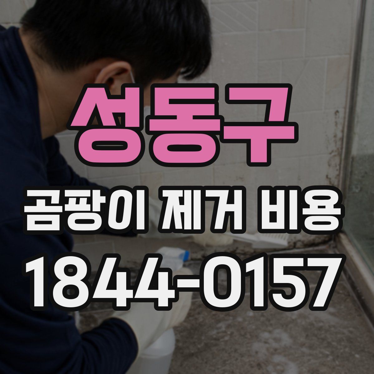 성동구 곰팡이 제거 비용