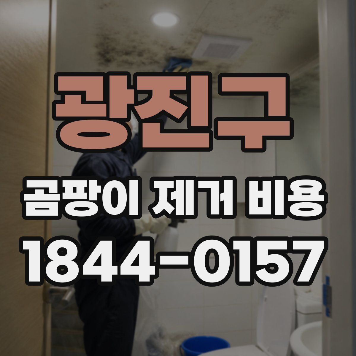 광진구 곰팡이 제거 비용 생활 공간별 시공 방식 살펴보기