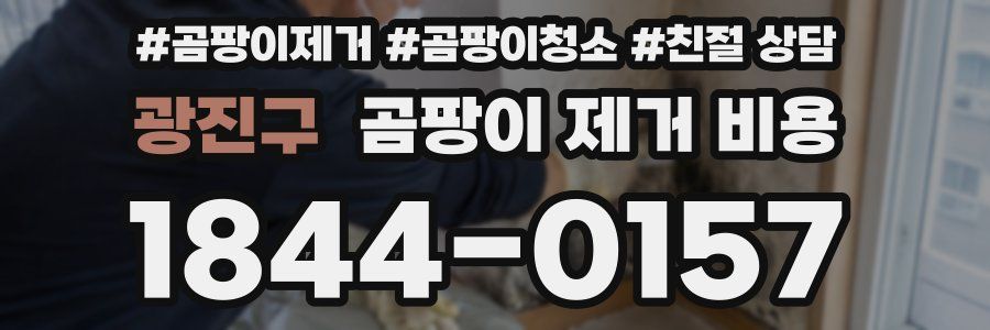광진구 곰팡이 제거 비용