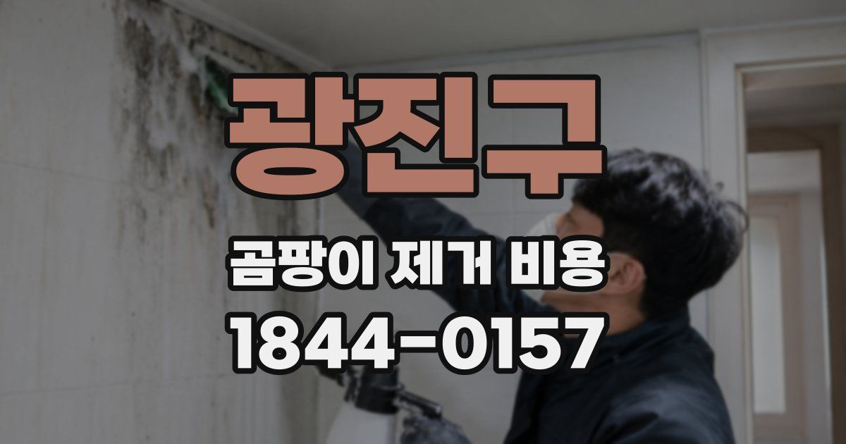 광진구 곰팡이 제거 비용