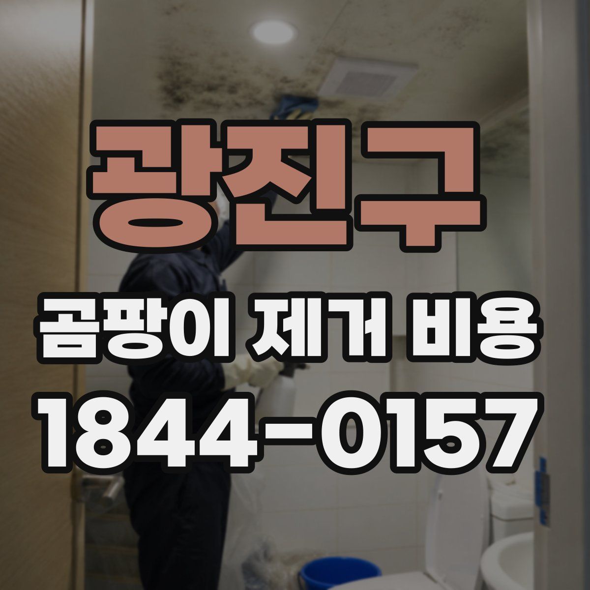 광진구 곰팡이 제거 비용