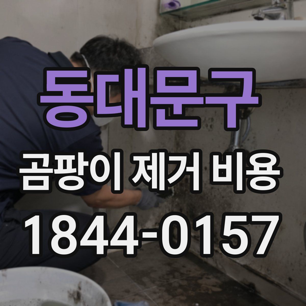동대문구 곰팡이 제거 비용