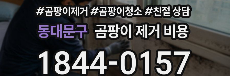 동대문구 곰팡이 제거 비용