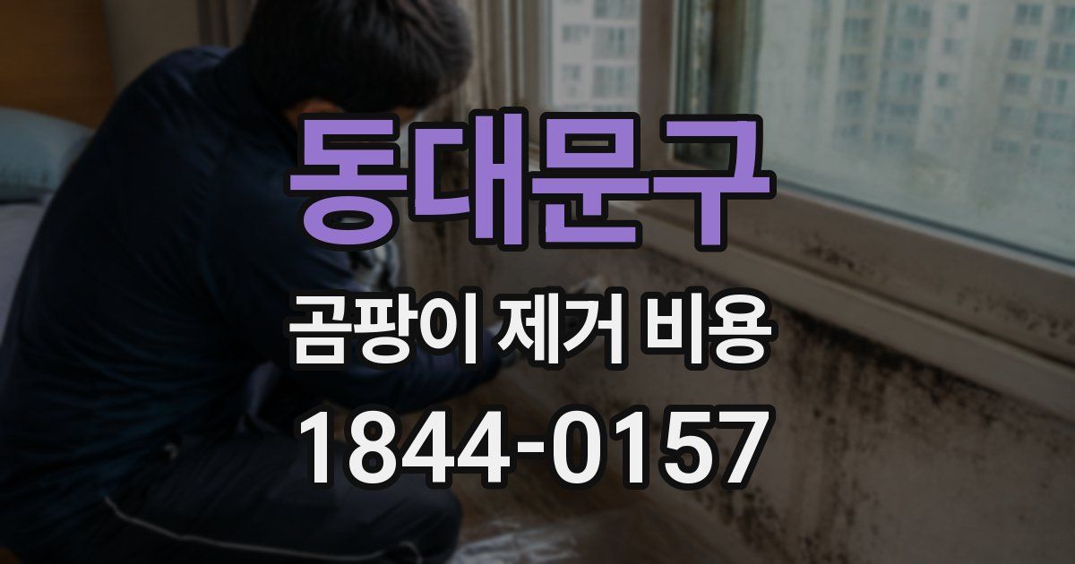 동대문구 곰팡이 제거 비용