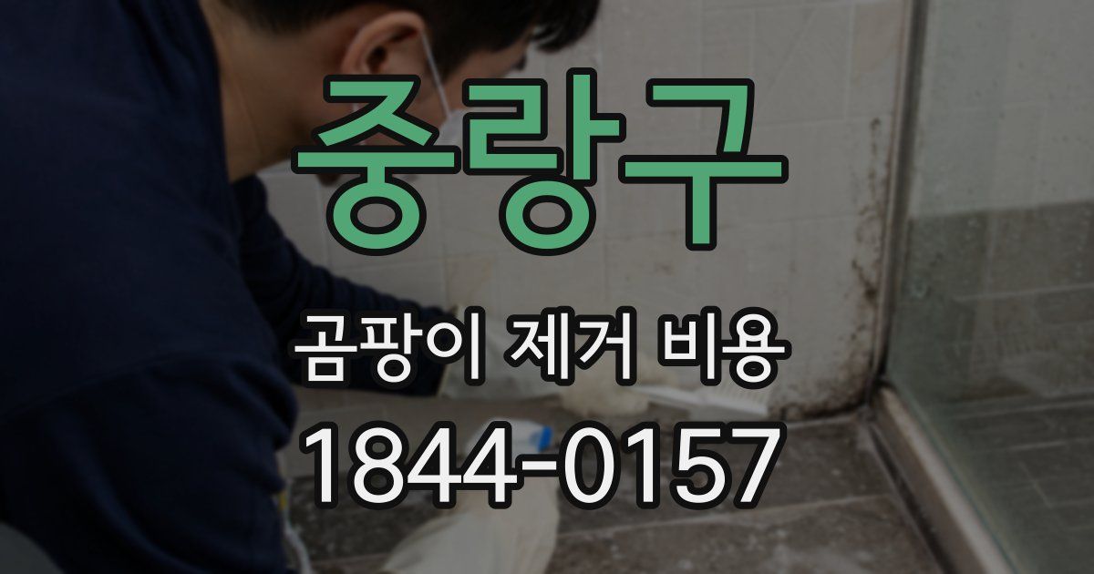 중랑구 곰팡이 제거 비용
