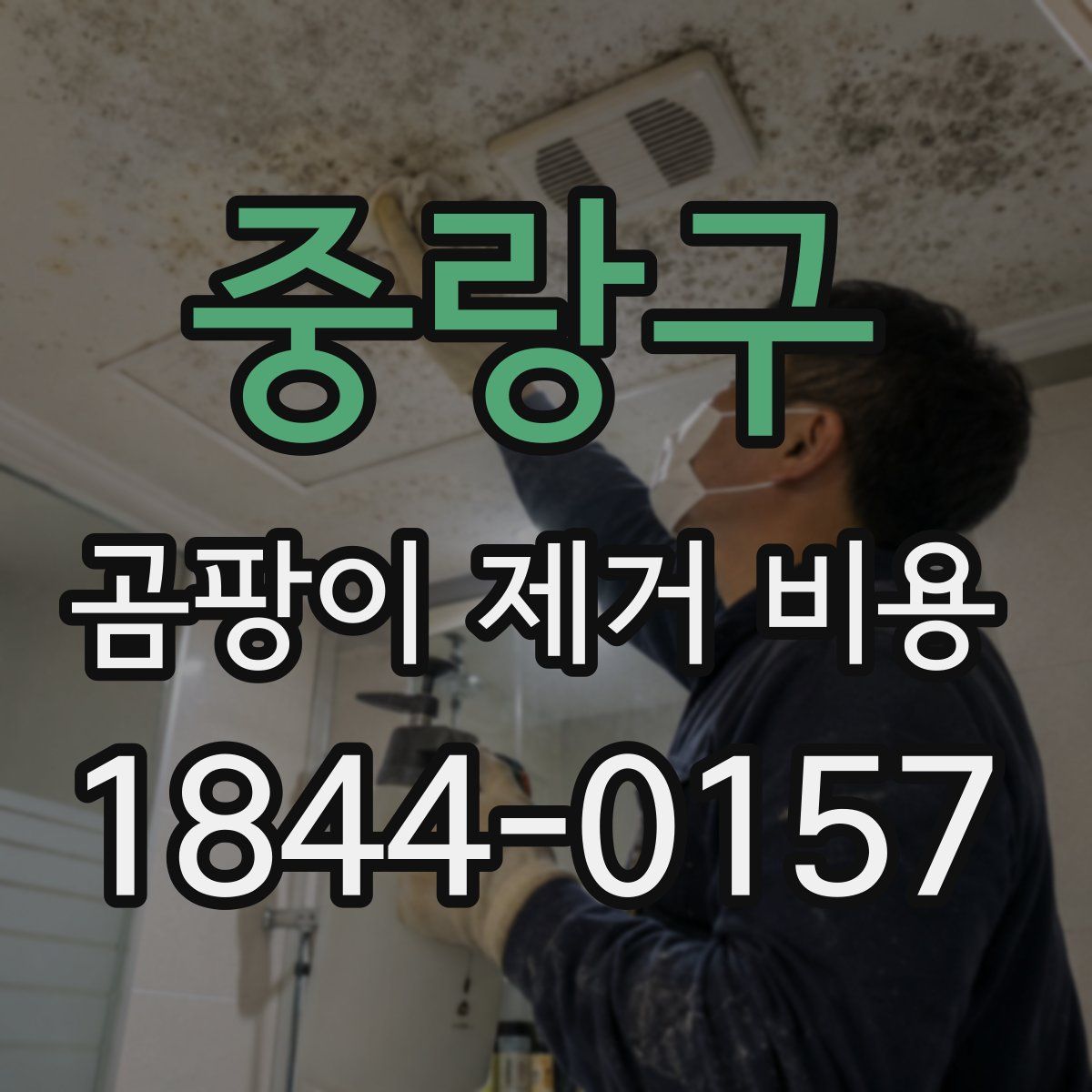중랑구 곰팡이 제거 비용