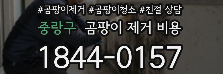 중랑구 곰팡이 제거 비용