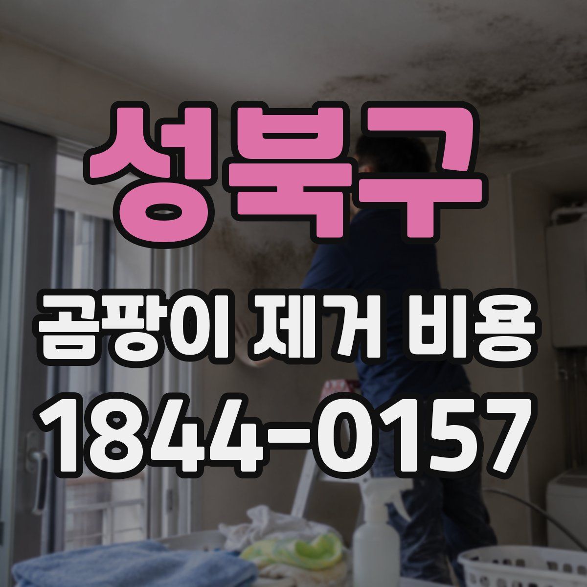 성북구 곰팡이 제거 비용