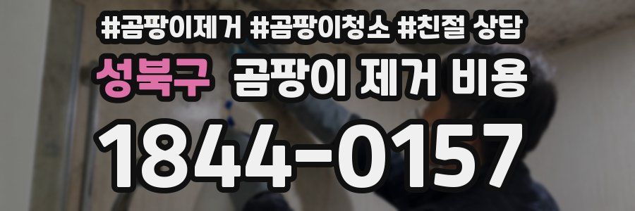 성북구 곰팡이 제거 비용