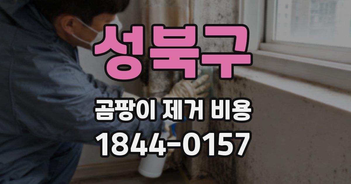 성북구 곰팡이 제거 비용