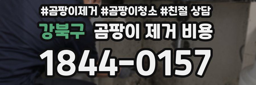 강북구 곰팡이 제거 비용