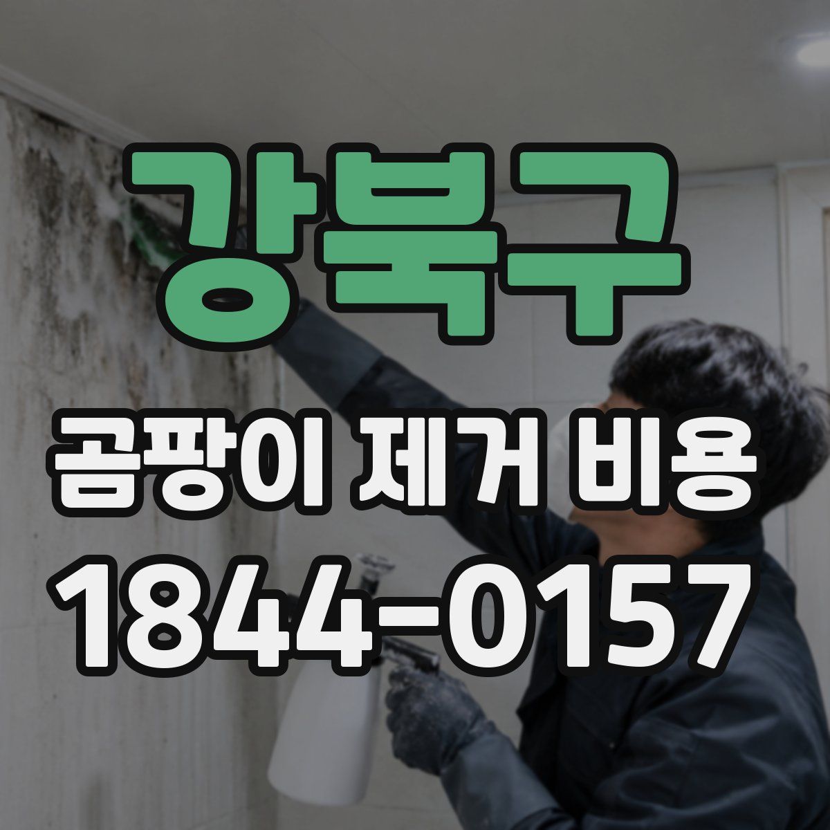 강북구 곰팡이 제거 비용