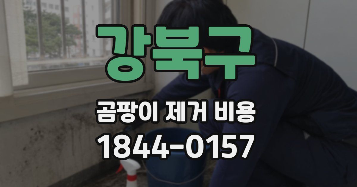 강북구 곰팡이 제거 비용