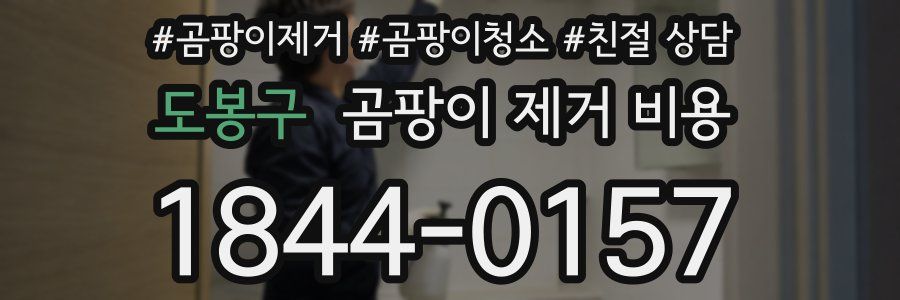 도봉구 곰팡이 제거 비용