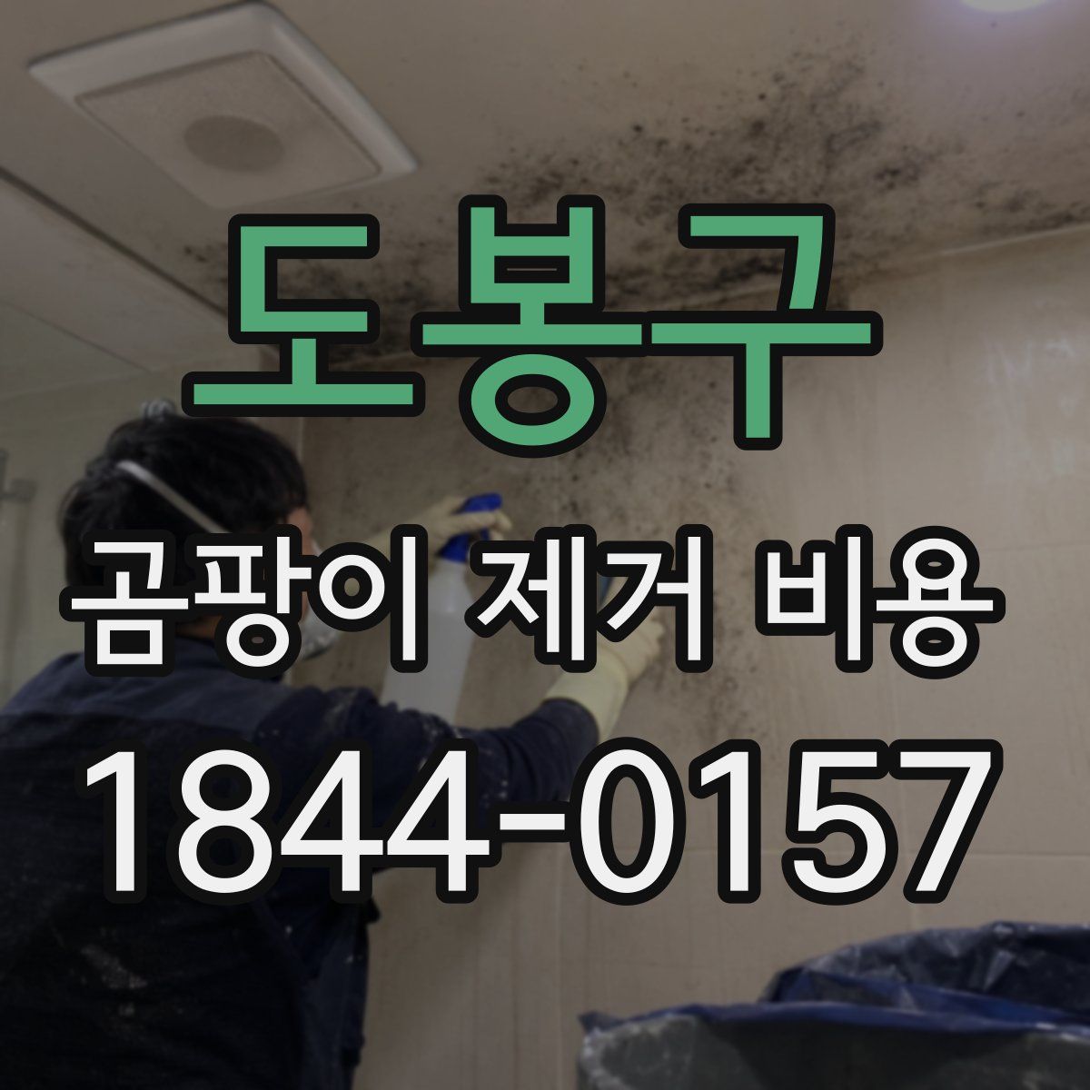 도봉구 곰팡이 제거 비용