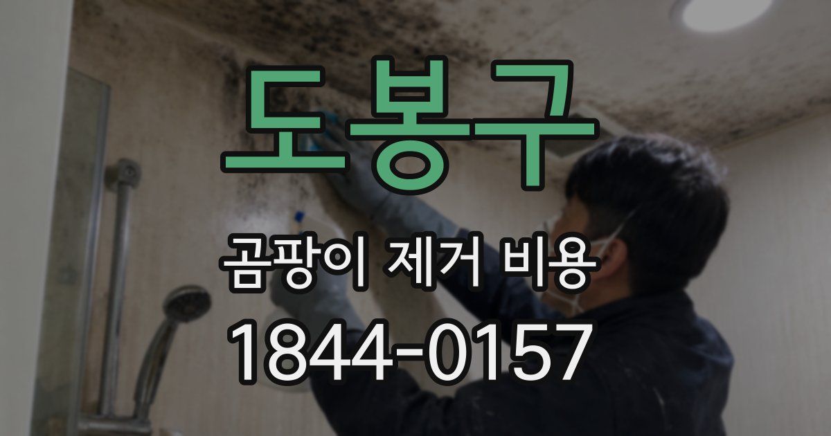 도봉구 곰팡이 제거 비용