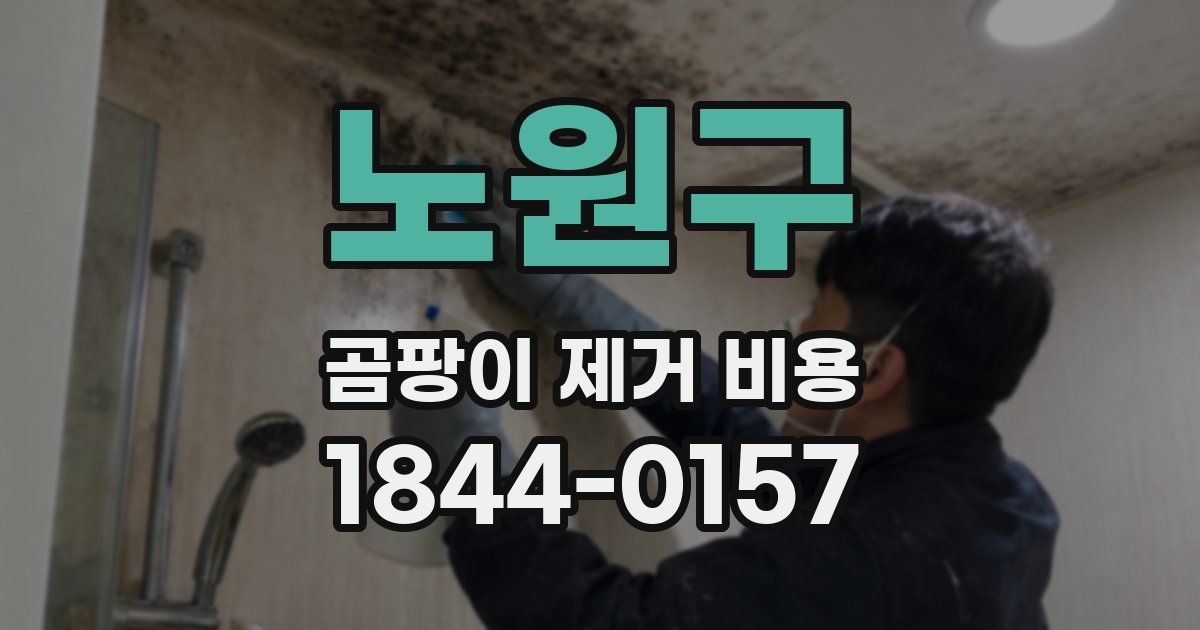 노원구 곰팡이 제거 비용