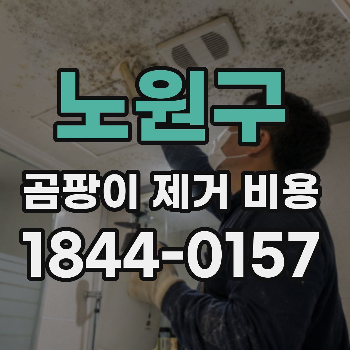노원구 곰팡이 제거 비용