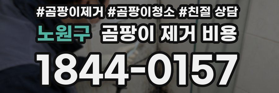 노원구 곰팡이 제거 비용