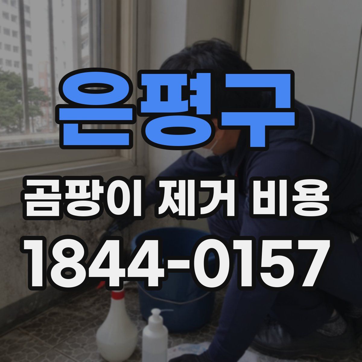 은평구 곰팡이 제거 비용