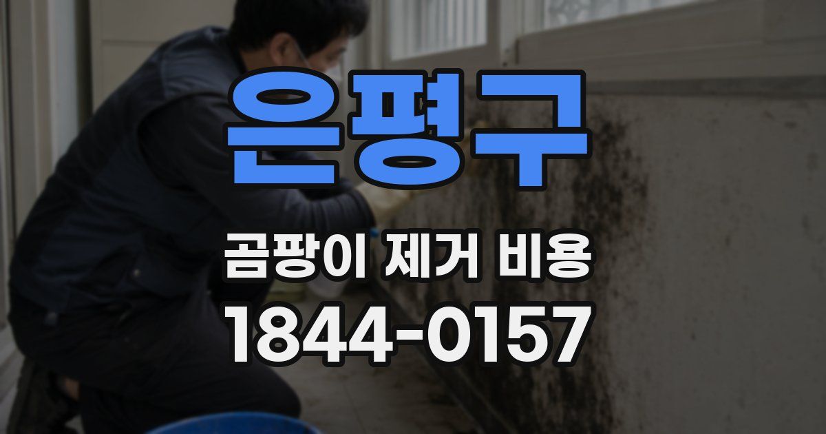 은평구 곰팡이 제거 비용