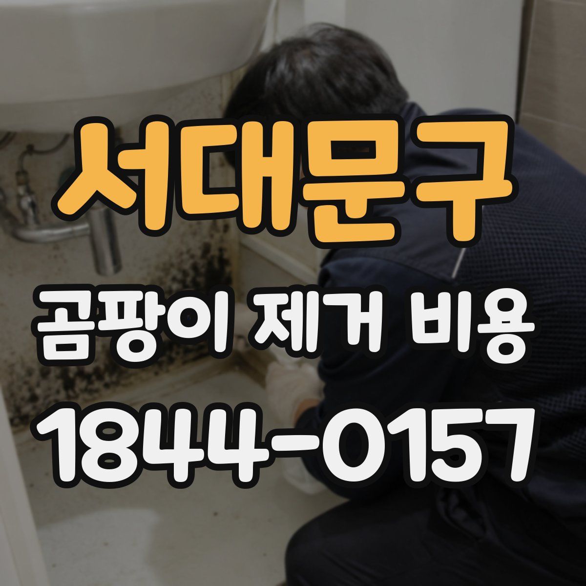 서대문구 곰팡이 제거 비용
