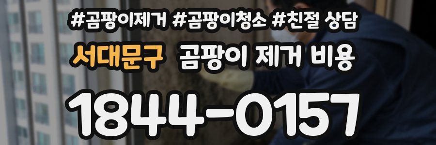 서대문구 곰팡이 제거 비용