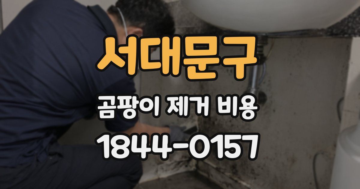 서대문구 곰팡이 제거 비용