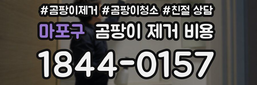 마포구 곰팡이 제거 비용