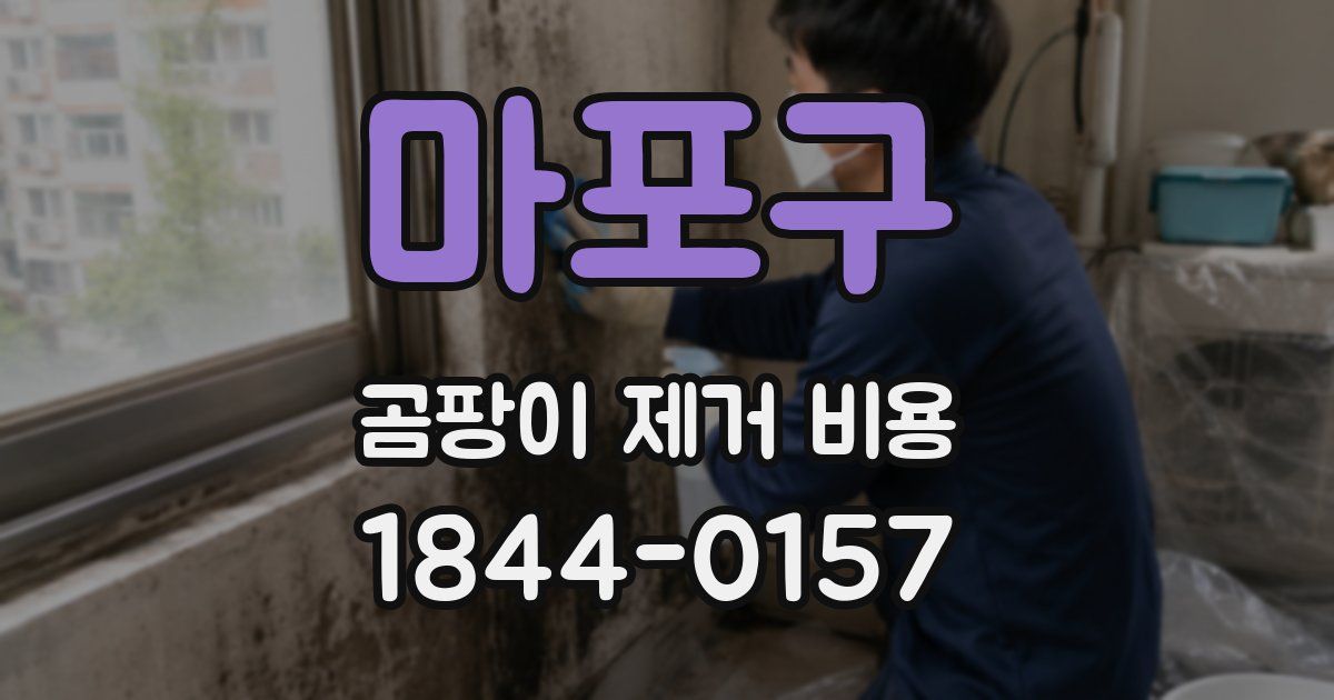 마포구 곰팡이 제거 비용
