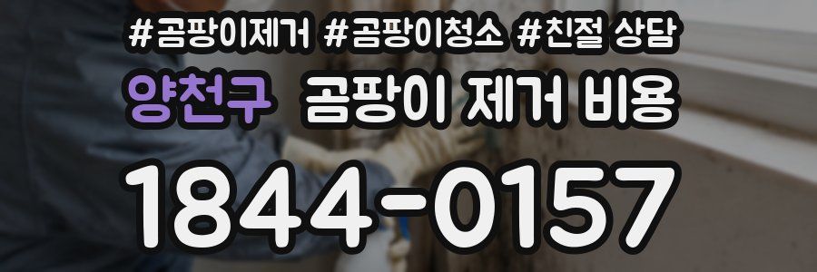 양천구 곰팡이 제거 비용
