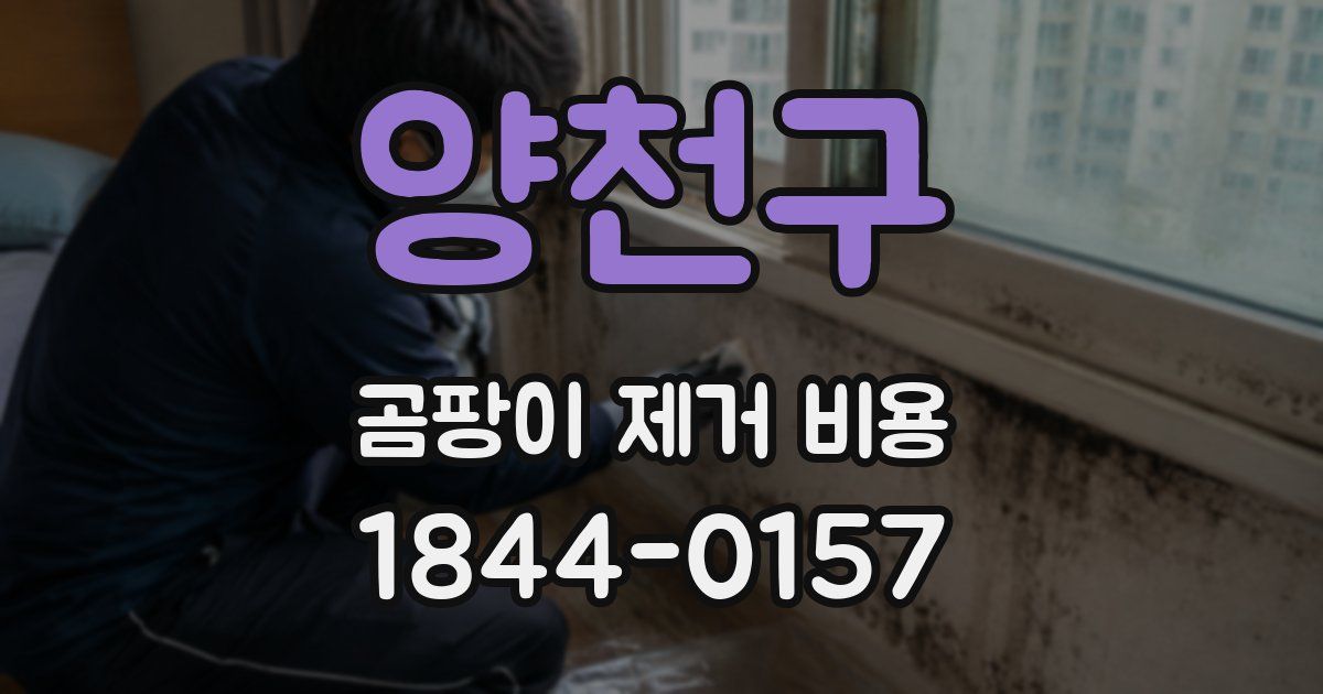 양천구 곰팡이 제거 비용