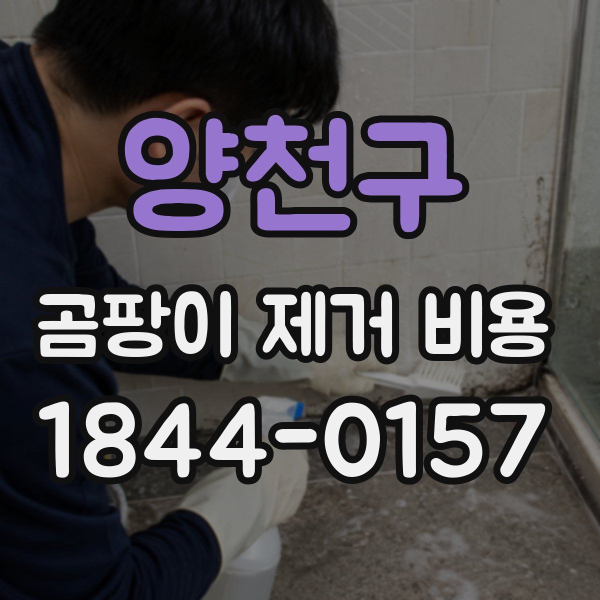 양천구 곰팡이 제거 비용