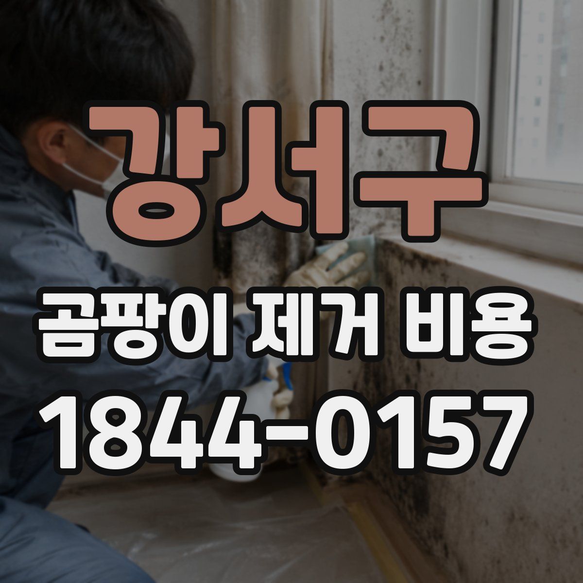 강서구 곰팡이 제거 비용