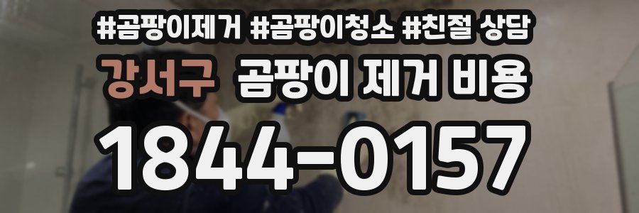 강서구 곰팡이 제거 비용