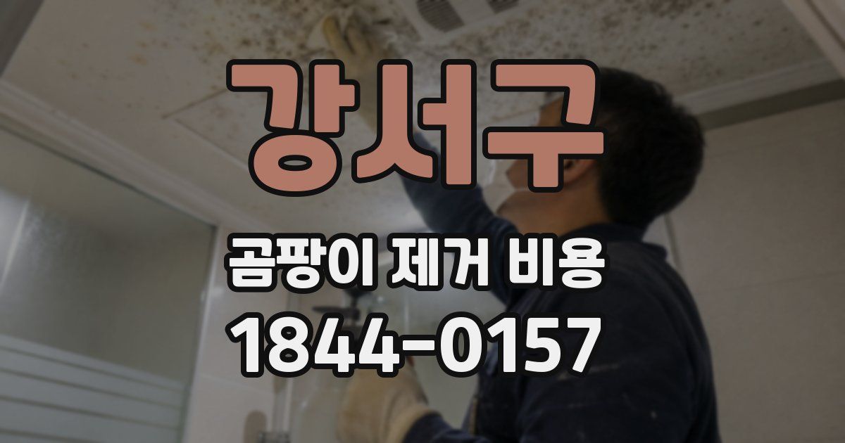 강서구 곰팡이 제거 비용