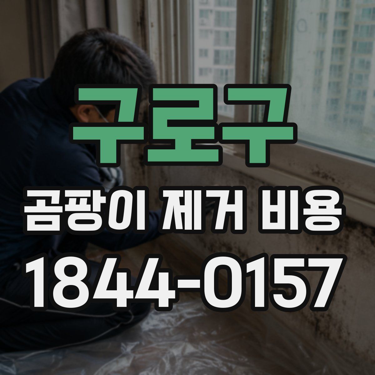 구로구 곰팡이 제거 비용