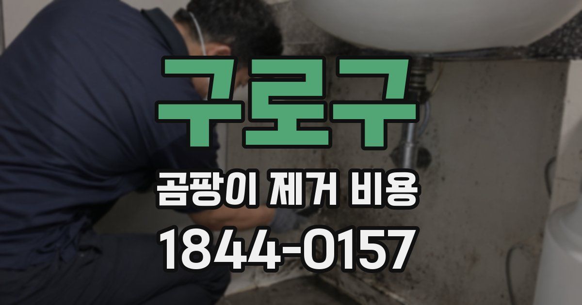 구로구 곰팡이 제거 비용