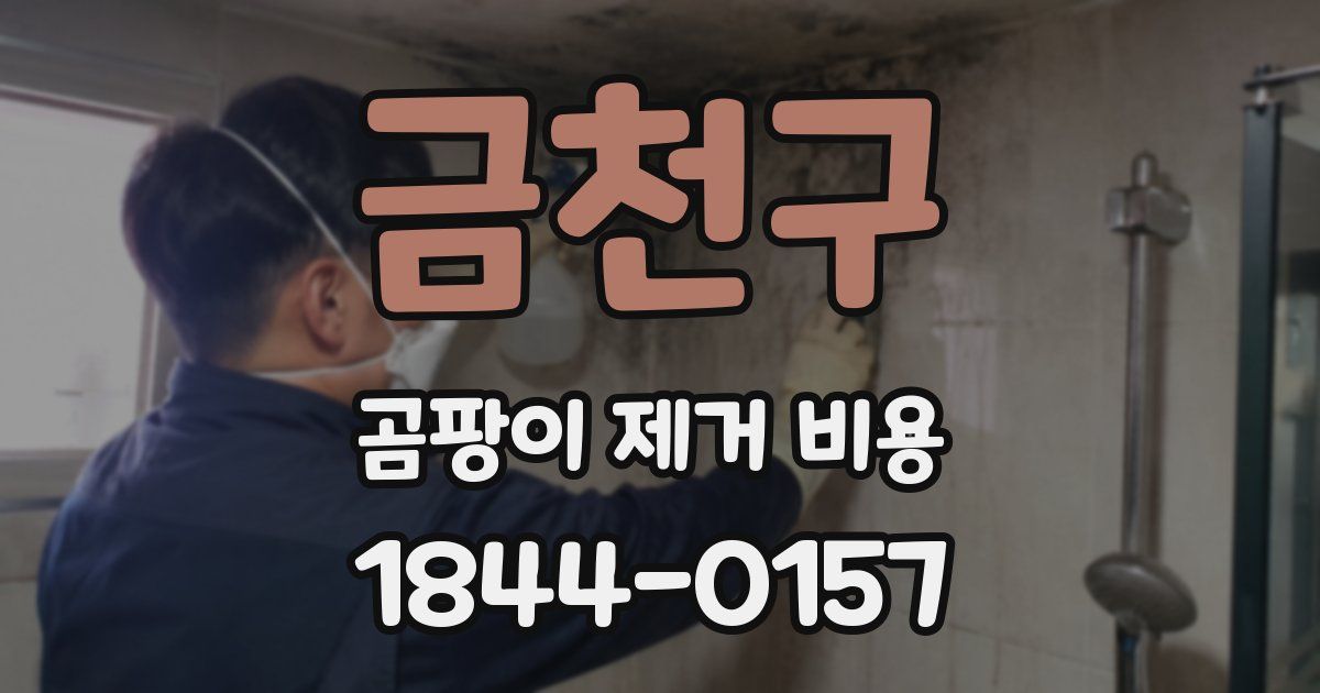 금천구 곰팡이 제거 비용