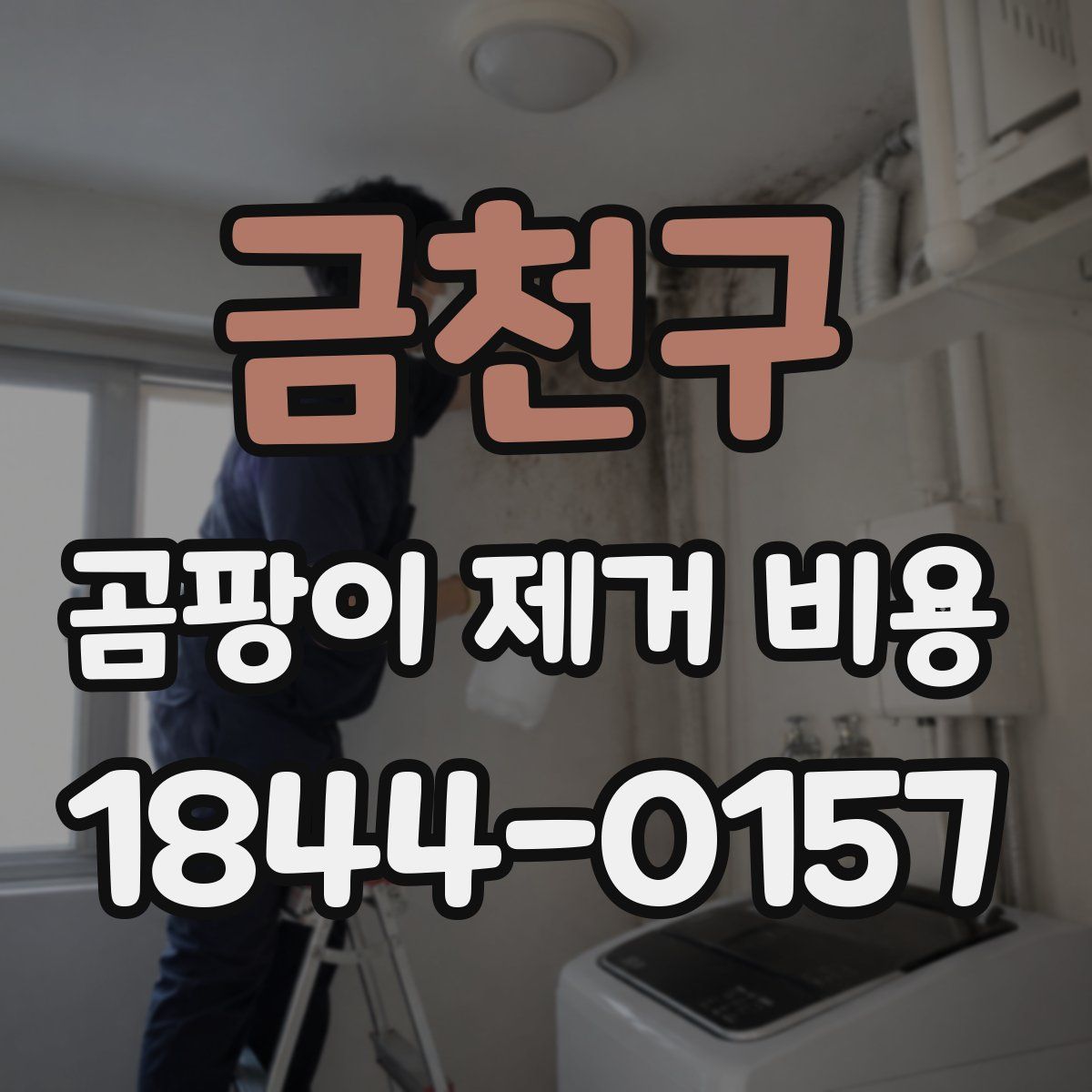 금천구 곰팡이 제거 비용