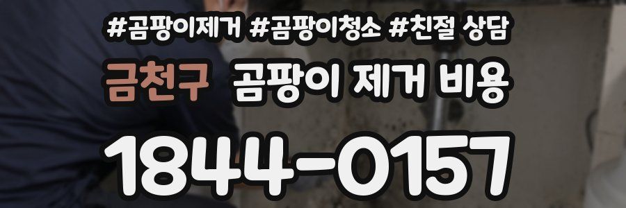 금천구 곰팡이 제거 비용