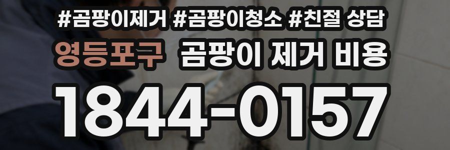 영등포구 곰팡이 제거 비용