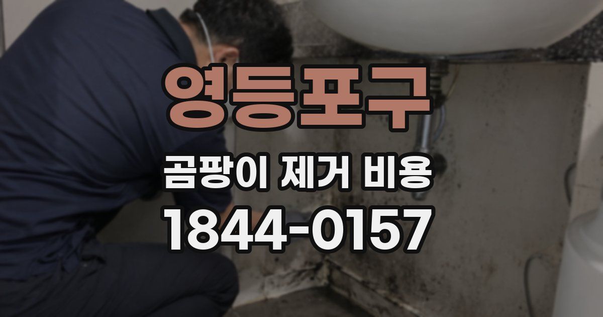 영등포구 곰팡이 제거 비용