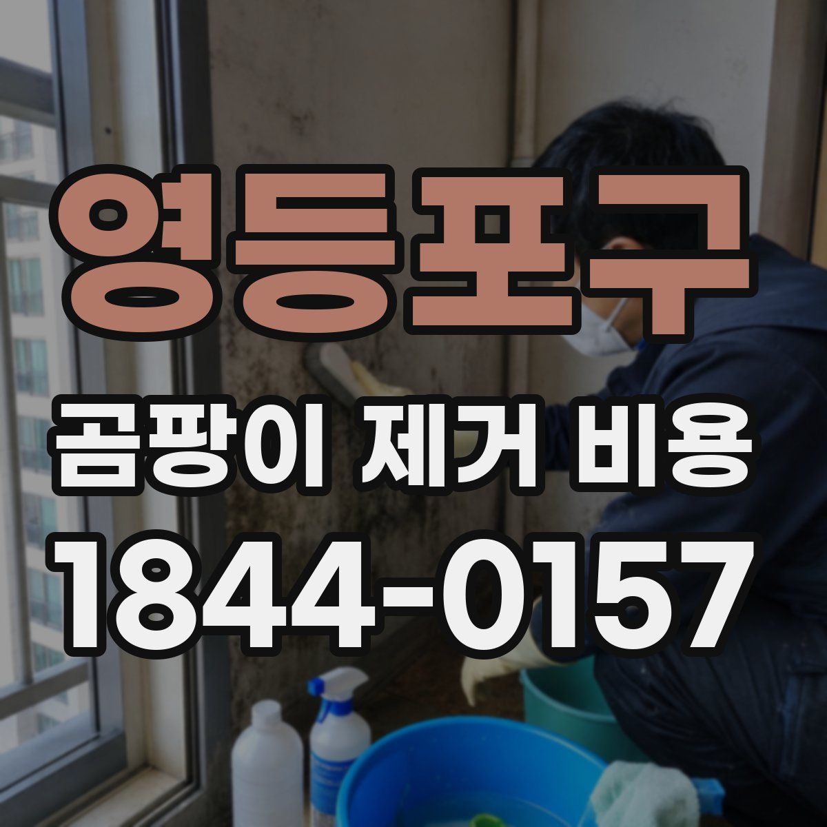 영등포구 곰팡이 제거 비용