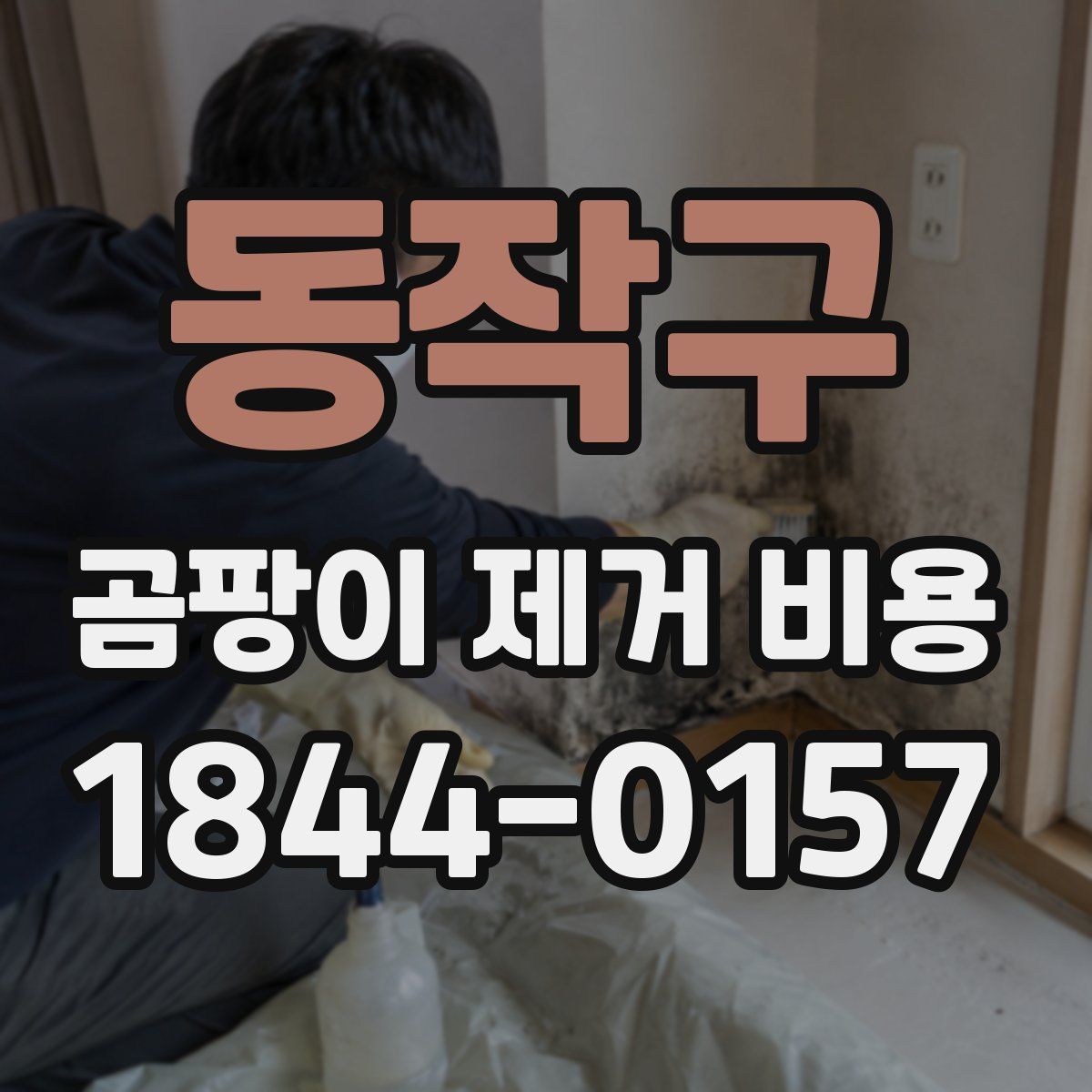 동작구 곰팡이 제거 비용