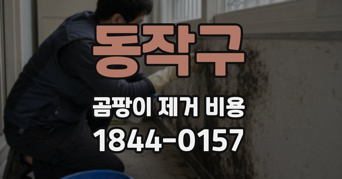 동작구 곰팡이 제거 비용